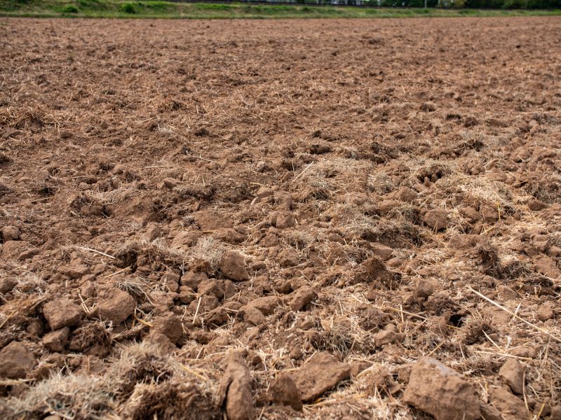 Terrain and Soil Conditions