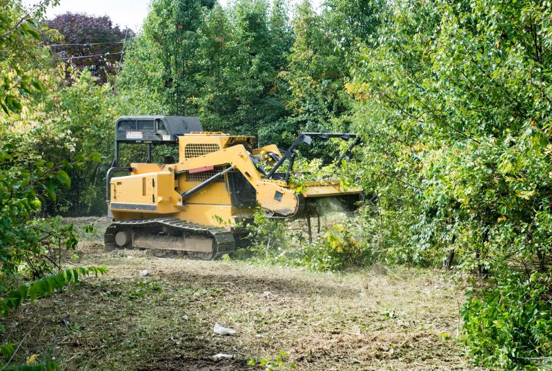 Pasture Clearing in Cumming, GA