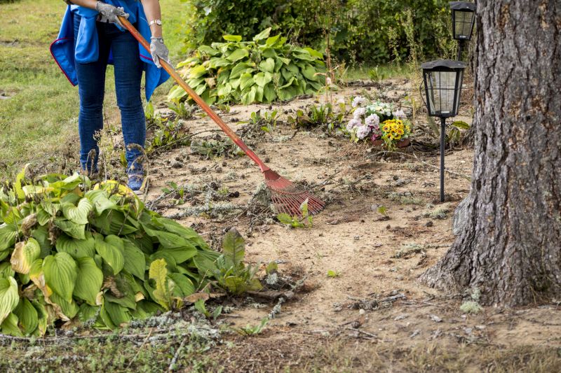 Property Line Clearing in Utah County, UT