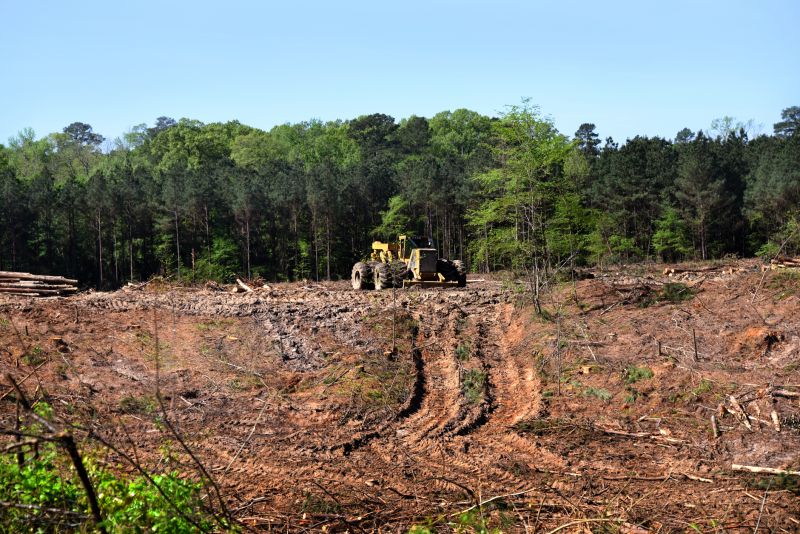 Site Clearing Service in Cumming, GA